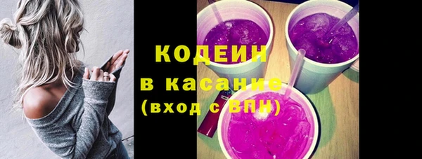 прущие грибы Бронницы