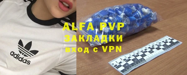 прущие грибы Бронницы