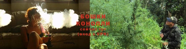 прущие грибы Бронницы