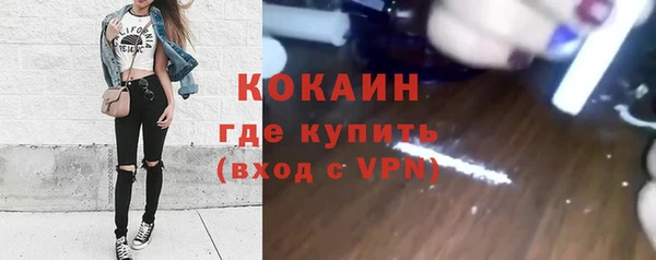 винт Бородино