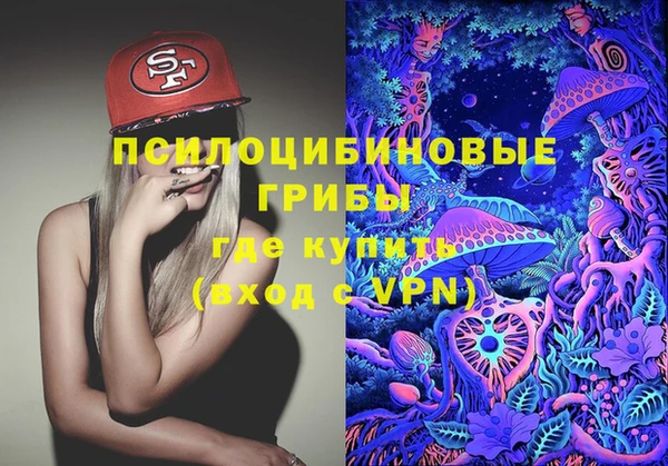 винт Бородино