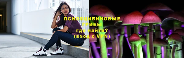 шишки Верхнеуральск
