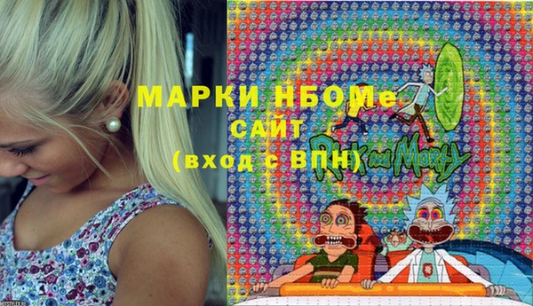 прущие грибы Бронницы