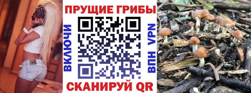 Купить  Медынь  Галлюциногенные грибы ЛСД 